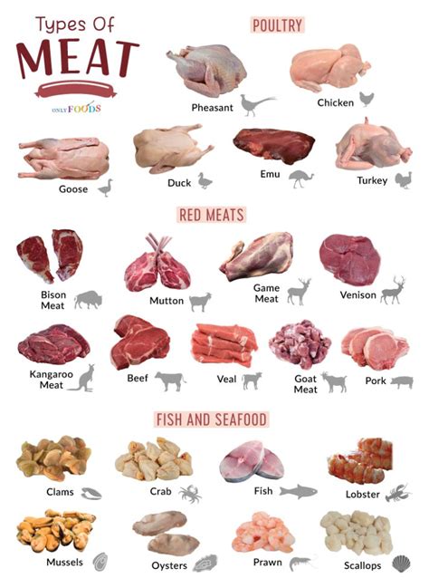 List of the Different Types of Meats With Pictures