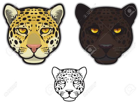 Jaguar Face Drawing at GetDrawings | Free download