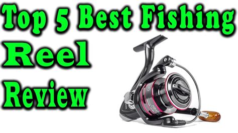 5 Best Fishing Reel Review 2023 - POBSE