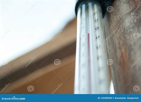 Thermometer in the Greenhouse Stock Image - Image of green, high: 122289505