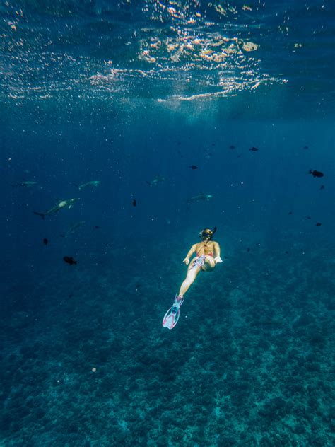 I tried for you : Cultural lagoon snorkeling tour in Bora Bora