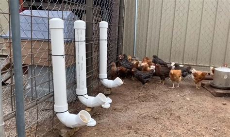 27 DIY Chicken Feeder Ideas - You Can DIY this Weekend