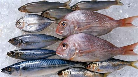 Ciguatera toxin, ciguatera fish poisoning symptoms & ciguatera treatment