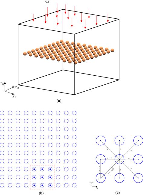 Position relationship of inclusions in the computational model. a 100 ...