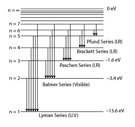 Draw the energy level diagram of Hydrogen showing all the types of possible transitions that can ...