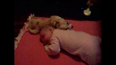 Dog Cuddling With Baby - YouTube