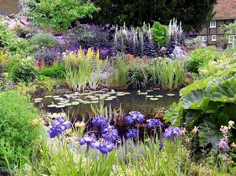 Monty Don shows how to create a wildlife pond | Garden pond design ...