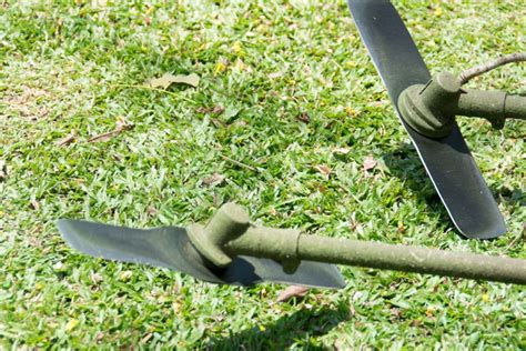 4 Best Lawn Mower Blades Reviews and Buying Guide – The Idiot Gardener