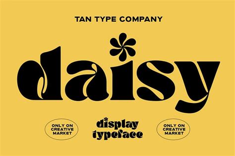 30+ Best Funky Fonts for Fresh, Unique Designs - Bittbox