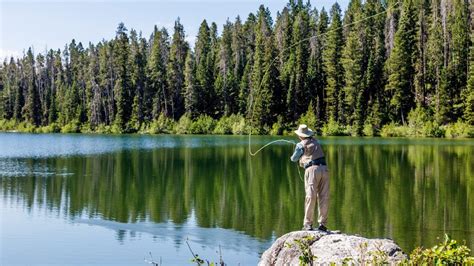 Best Time to Visit Grand Teton National Park in 2022 - The Geeky Camper