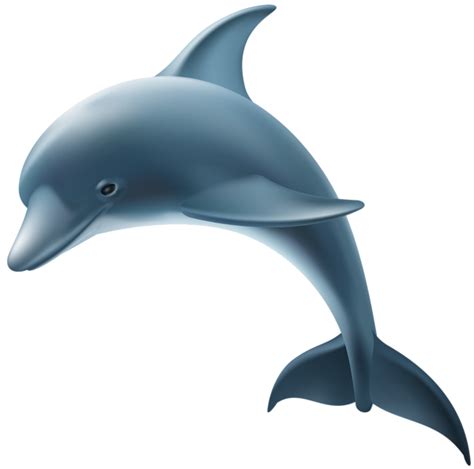 Dolphin clipart helmet, Picture #938052 dolphin clipart helmet