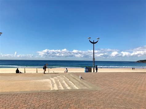 Maroubra Beach | Beach, Scenery, Outdoor