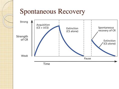 PPT - Classical Conditioning PowerPoint Presentation, free download ...