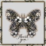 Thank You Butterfly Card Free Stock Photo - Public Domain Pictures