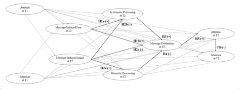 | A cognitive-emotional model to explain message framing effects. Gray... | Download Scientific ...