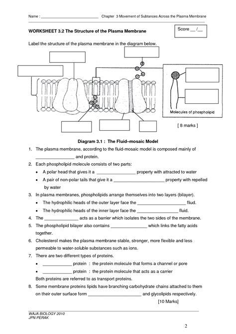 cell membrane worksheet - Google Search | Biology classroom, Biology ...