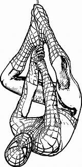 Spider Man Coloring Page WeColoringPage 190  Wecoloringpagecom sketch template