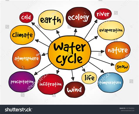 Water Cycle Mind Map Concept Presentations Stock Vector (Royalty Free ...