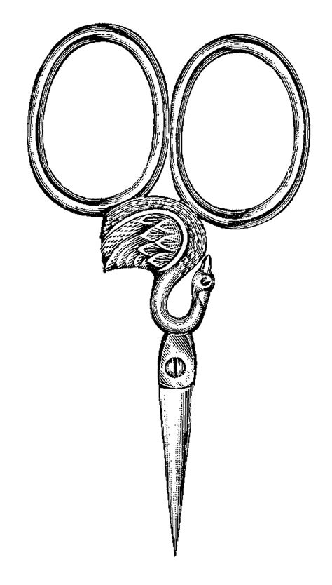 Vintage Scissors Clip Art - ClipArt Best