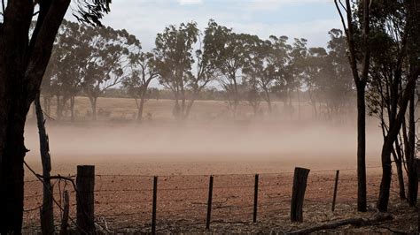 How to minimise wind erosion after soil amelioration | Groundcover