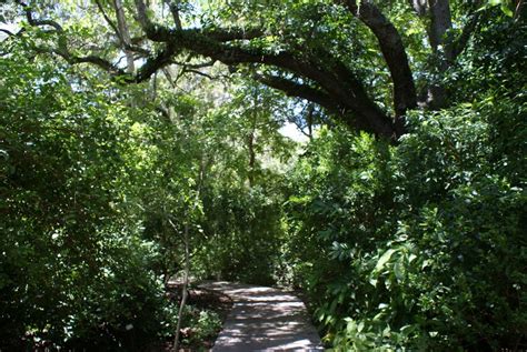 Lisa D. Anness South Florida Butterfly Garden - Fairchild Tropical Botanic Garden