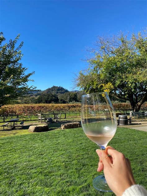 Best wineries to visit in Healdsburg — Fine Vining