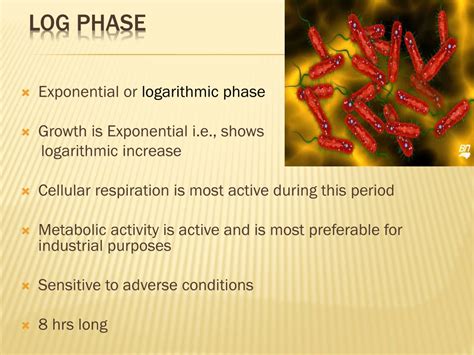 PPT - BACTERIAL GROWTH CURVE PowerPoint Presentation, free download - ID:9569763