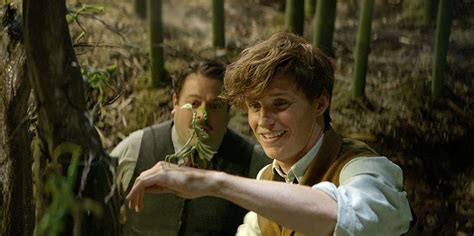 Fantastic Beasts: Newt Scamander Backstory & Harry Potter Connections