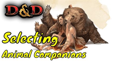 Selecting Animal Companions in Dungeons & Dragons 5E (DM Guide) - YouTube