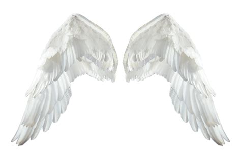 Wings PNG Images Transparent Free Download | PNGMart.com