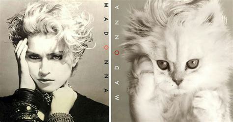 Someone Is Replacing Musicians With Cats In Famous Album Covers, And ...