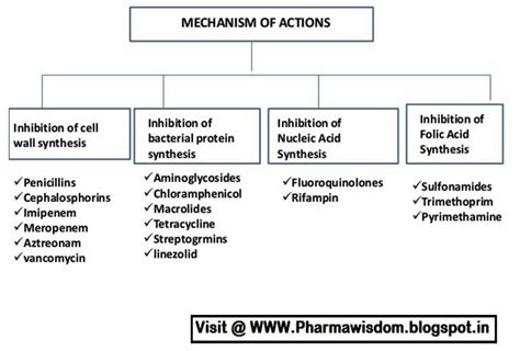 Mechanism of Action of Chemotherapeutic drugs - PHARMA WISDOM