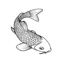 koi fish drawing outline - Google Search | Koi fish drawing, Fish ...