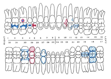 Image result for dental assistant study guide free | Dental assistant study, Dental assistant ...