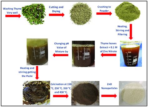 Schematic representation of green synthesis process of ZnO NPs by using ...