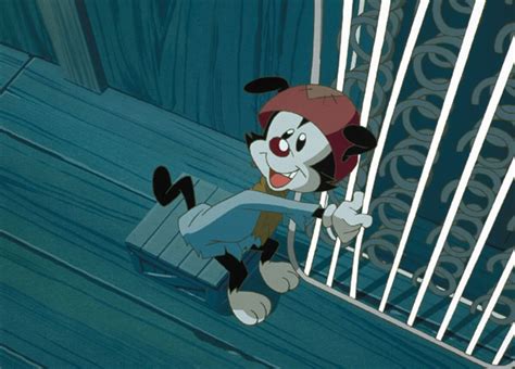 Wakko Warner (Wakko's Wish) | Heroes Wiki | Fandom