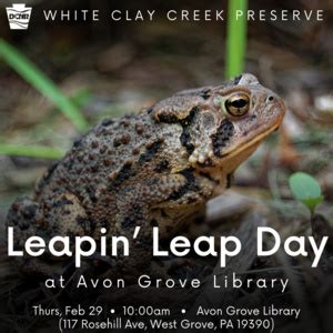 Leapin Leap Day at Avon Grove Library - DCNR Calendar of Events