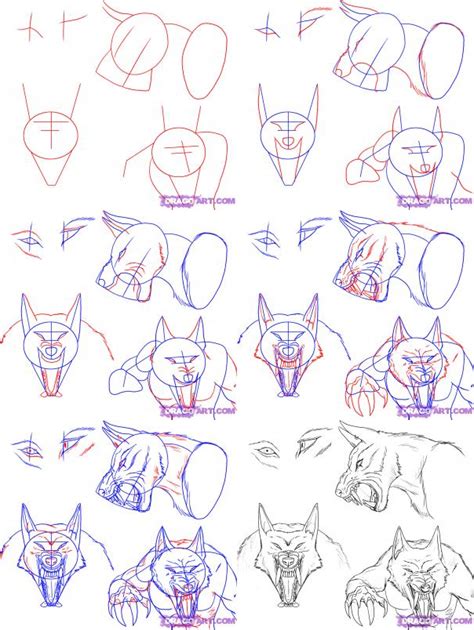 How To Draw A Wolf Body Step By Step at Drawing Tutorials