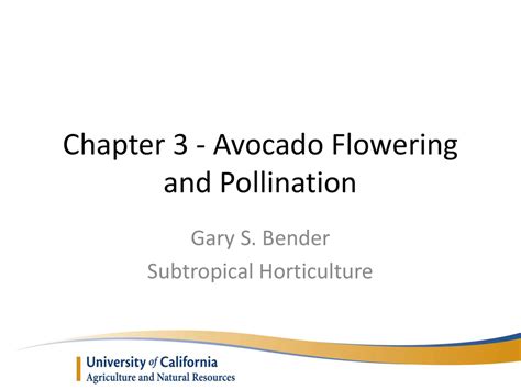 Chapter 3 - Avocado Flowering and Pollination