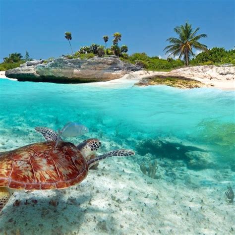 Cozumel Southern Caribbean, Royal Caribbean Cruise, Caribbean Beaches ...