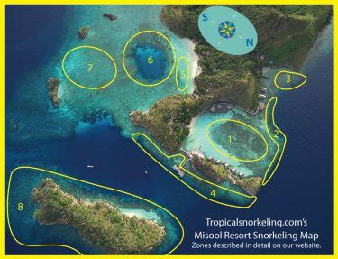 Misool Snorkeling Is Astounding! See Why It's Our Favorite.