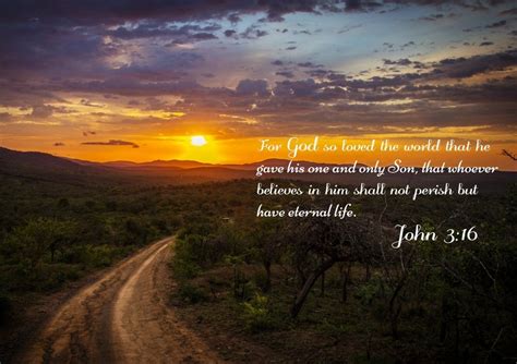 John 3:16 NIV #20 Bible Verse Canvas Wall Art