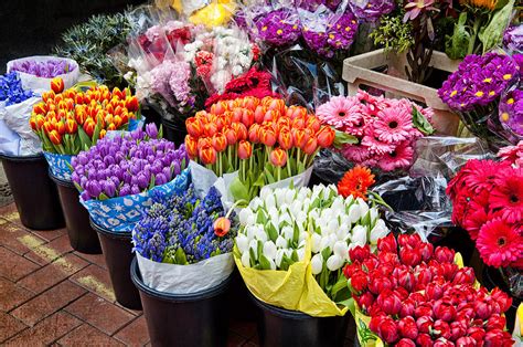 Colorful Flower Market Photograph by Cheryl Davis