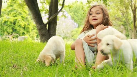 Smiling Dog Stock Footage Video | Shutterstock