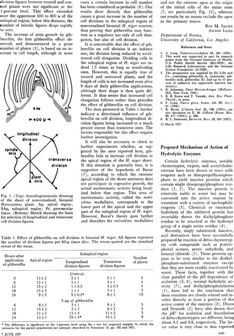 Proposed Mechanism of Action of Hydrolytic Enzymes | Science