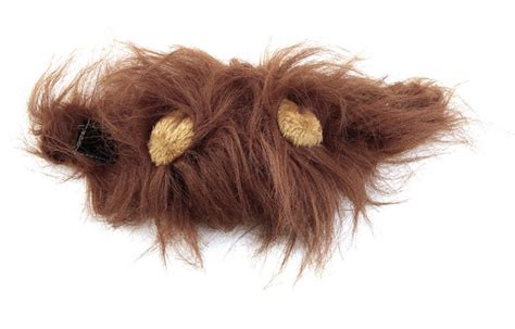 Cat Lion Mane Costume – Loot Lane