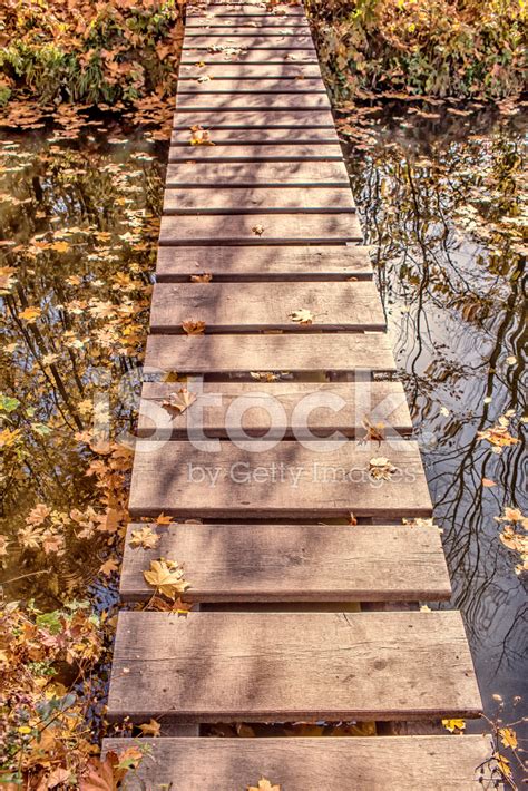 Wooden Footbridge Stock Photo | Royalty-Free | FreeImages