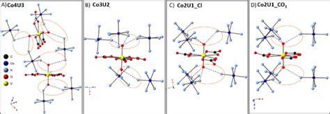 Hydrogen bonding for the cobalt hexamine to the uranyl tricarbonate... | Download Scientific Diagram