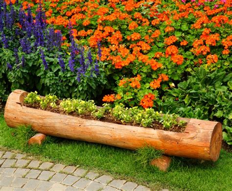 25+ Log Planters - Eco Friendly Planters - How to Make a Log Planter