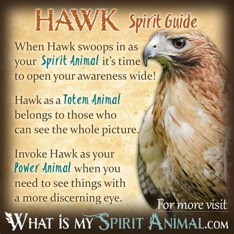 Bird Symbolism & Meanings FULL RESOURCE - ANIMAL SPIRIT GUIDES (Omens, Spirit Animals, Totems ...